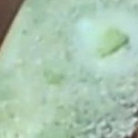 تصویر شجر زیبا 