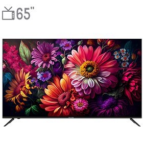 تصویر تلویزیون ال ای دی الیو 8740 سایز 65 اینچ LED TV 8740 size 65 inches