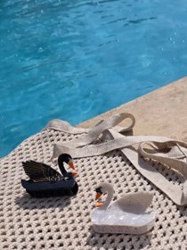 تصویر کلیپس نشکن قو 