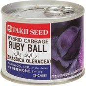 تصویر بذر کلم روبی بال قرمز تاکی ژاپن Ruby Ball Red Cabbage