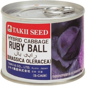 تصویر بذر کلم روبی بال قرمز تاکی ژاپن Ruby Ball Red Cabbage