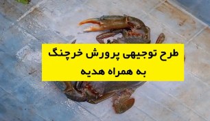 تصویر طرح توجیهی پرورش خرچنگ خوراکی و دریایی نگارش ۱۴۰۴ 