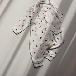 تصویر سرهمی آلبالویی 