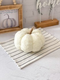 تصویر کدو تدی متوسط سفید 