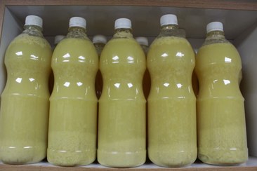 تصویر ابلیمو طبیعی 