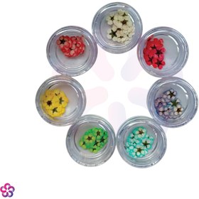 تصویر گل خشک اسپیره (10 عددی) 