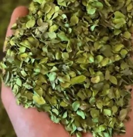 تصویر آویشن برگ اعلا ۱ کیلوگرم 