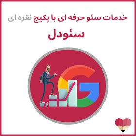 تصویر پکیج حرفه ای سئو 