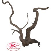 تصویر چوب آبنوس آکواریوم ۷۵۰ گرم 