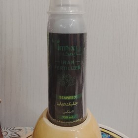 تصویر جلبک دریایی 