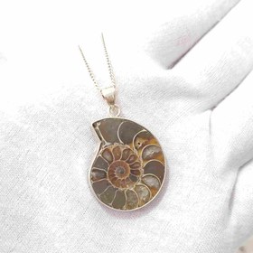 تصویر گردنبند نقره با فسیل آمونیت طبیعی اصل کد 61 (بدون زنجیر) 