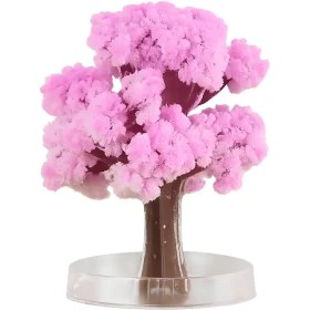 تصویر درخت جادویی ساکورا با گل‌های زیبا و جلوه خاص 