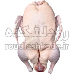 تصویر اردک محلی پرکنده Duck Meat