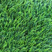 تصویر چمن مصنوعی مدل بهاران 2501 