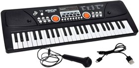 تصویر ارگ 49 کلید 