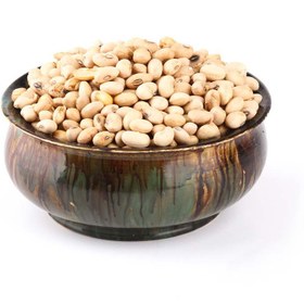 تصویر سویا آجیلی نمکی 