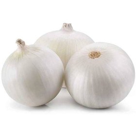 تصویر پیاز سفید 