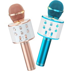 تصویر میکروفون گادفری مدل WS858 Godfrey WS858 Microphone