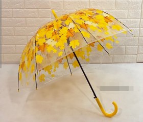 تصویر چتر بزرگسال 