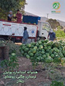 تصویر بذر هندوانه کریمسون سوئیت یونیژن ۵۰۰ گرم 