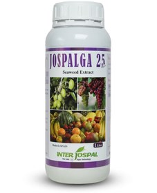 تصویر جلبک جوسپالیگا 