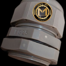 تصویر گلند pg 25 