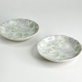 تصویر پیش دست هاسامی 