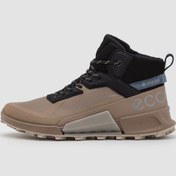 تصویر ecco biom 2.1 x mountain Beige 