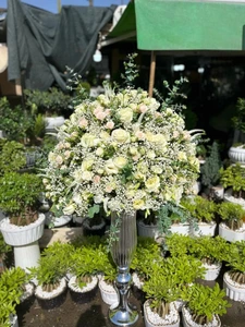 تصویر فروشگاه گلستونک