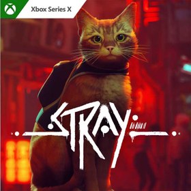 تصویر اکانت قانونی Stray برای Xbox 