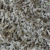 تصویر پونه کوهی خشک dried oregano