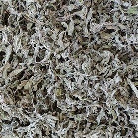تصویر پونه کوهی خشک dried oregano