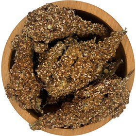 تصویر سماق خوشه ای 