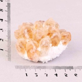 تصویر راف سیترین 