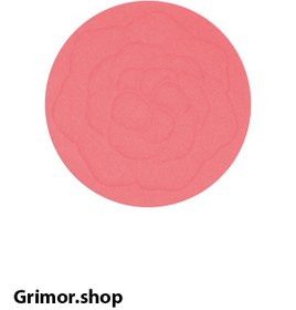 تصویر رژگونه پاستل مدل Show Your Happiness کد 202 