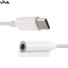 تصویر CM20 USB- C to 3.5mm Short Cable CM20 USB- C to 3.5mm Short Cable