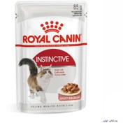 تصویر پوچ گربه Instinctive رویال کنین مدل Royal canin Instinctive Pate 85g