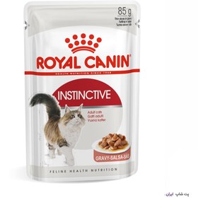 تصویر پوچ گربه Instinctive رویال کنین مدل Royal Canin Instinctive 85g