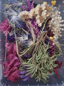 تصویر گل خشک 