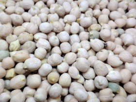 تصویر نخود ریز فله ای 