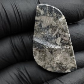 تصویر نگین فسیل کرینوئید (کدA680) 