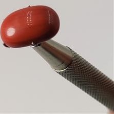 تصویر نگین مرجان قرمز طبیعی (بهسازی رنگ) 