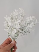 تصویر پرچم گل برفی پفکی یک بسته 