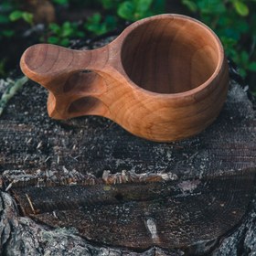 تصویر کوکسا 