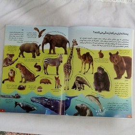 تصویر کتاب دانستنی های شگفت انگیزی از حیوانات دراندازه رحلیA4 (برگ گلاسه-روغنی)32صفحه ای 