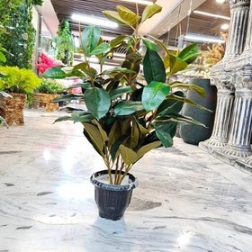 تصویر درختچه فیکوس مصنوعی 