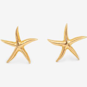 تصویر گوشواره میخی ستاره دریایی 