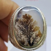 تصویر انگشتر شجر تک درخت فوق کلکسیونی رکاب تخصصی فدیوم با کیفیت درجه 1 Super collectable single tree tree ring, Fadiam specialized stirrup