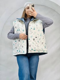 تصویر پافر دو رو 