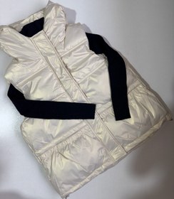 تصویر پافر شیری کلاهدار 96313 